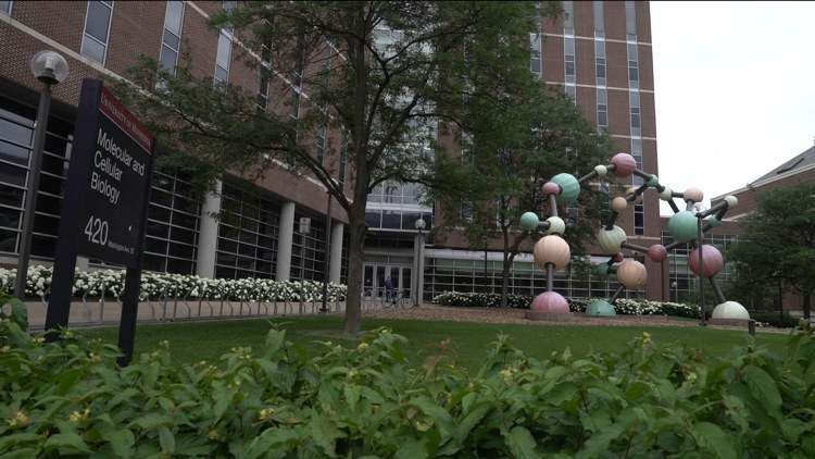University of Minnesota researcher helps create new outlet for climate ...