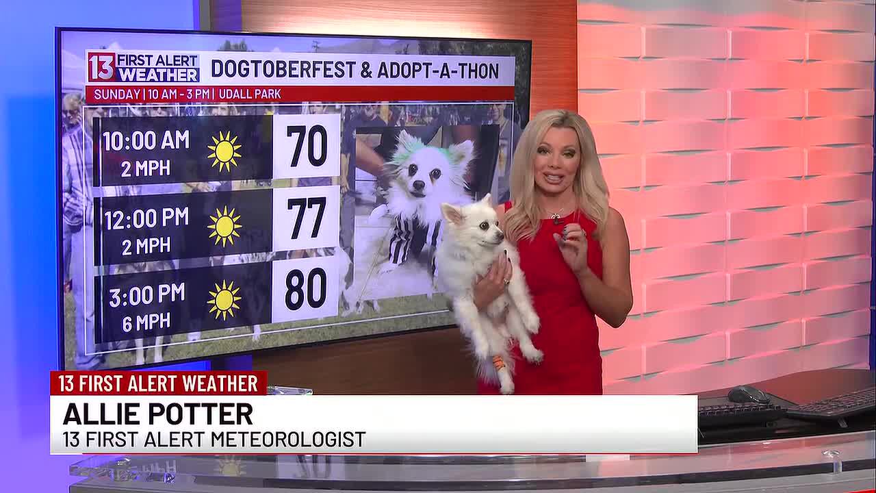 A touchdown forecast for Arizona's homecoming weekend