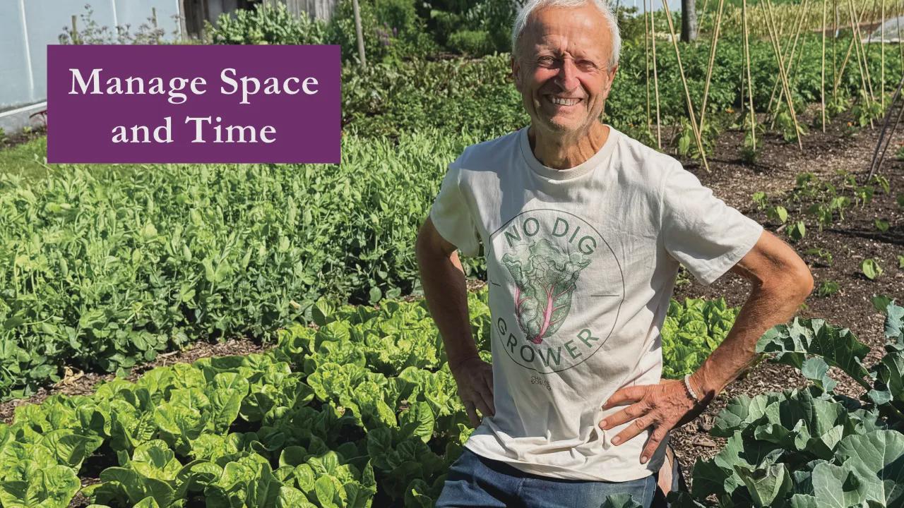 A small garden, for double cropping with fewer weeds