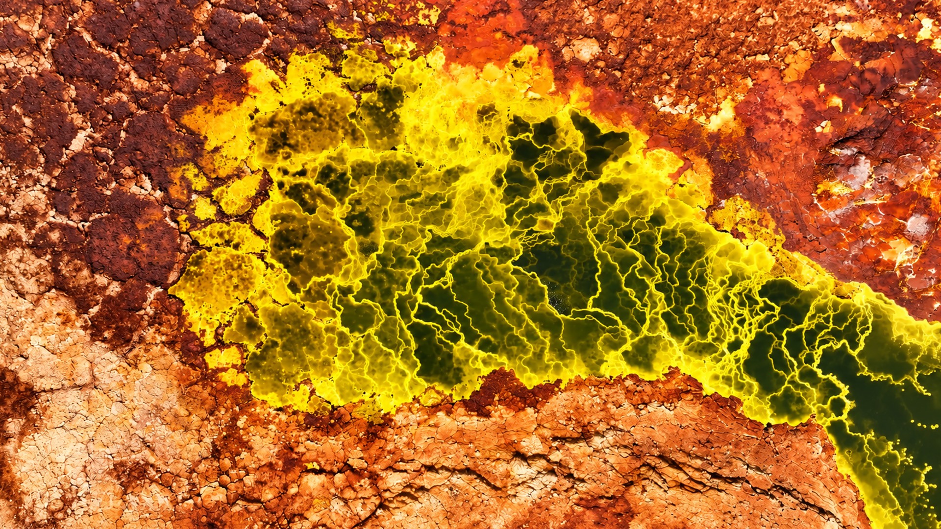 A yellow lake with veins across its surface