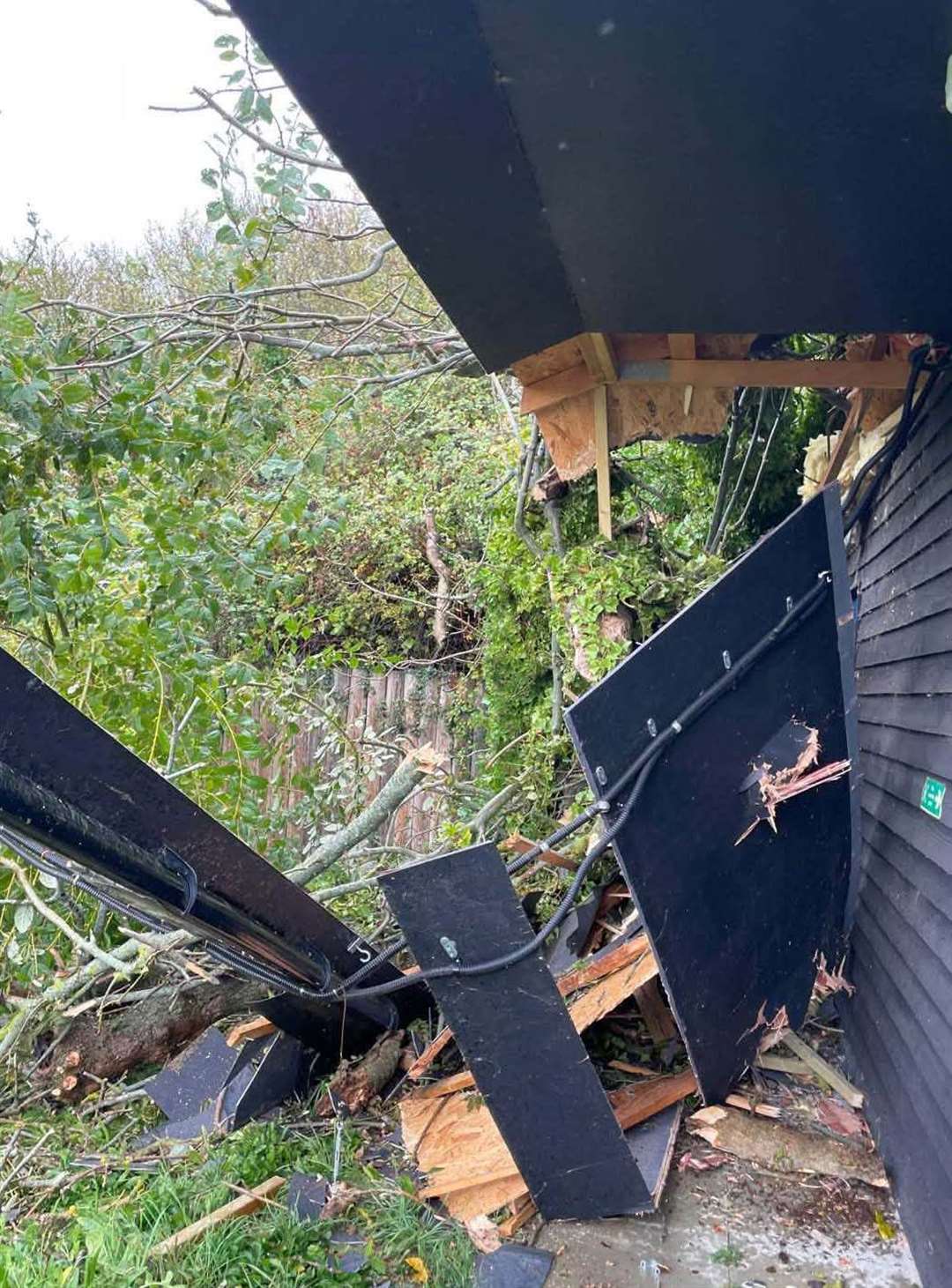 Canterbury and District RSPCA facing huge bill after tree falls during ...