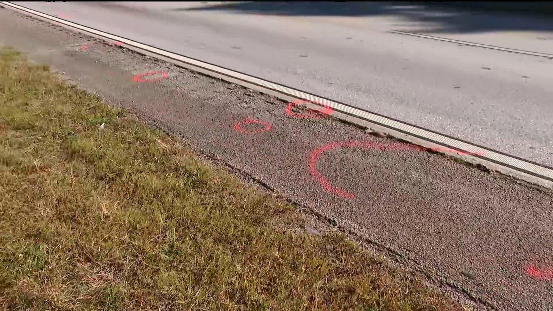 Police search for car involved in deadly hit-and-run