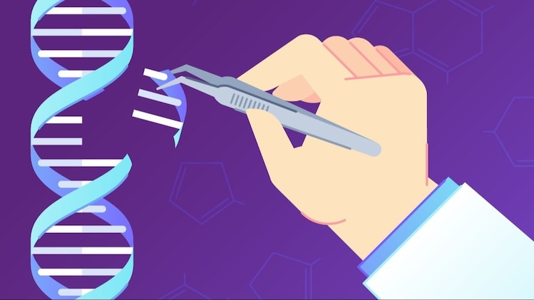 Potential cure for genetic disease? Scientists test DNA editing inside ...