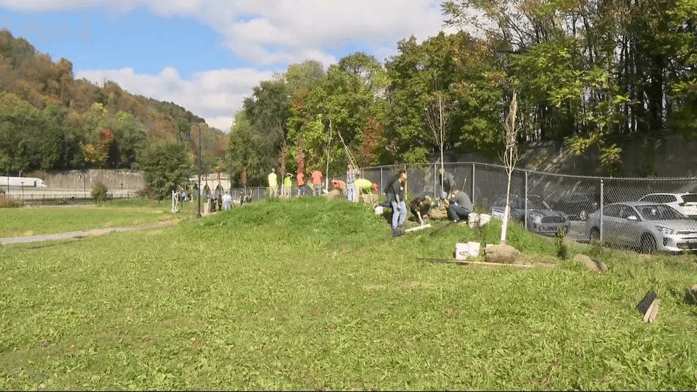 Tree planting initiative continues in downtown Johnstown