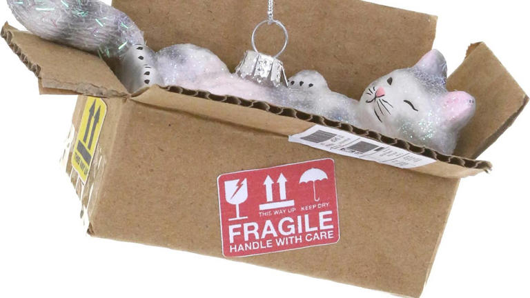 Every cat parent will laugh at this $30 best cat toy ornament