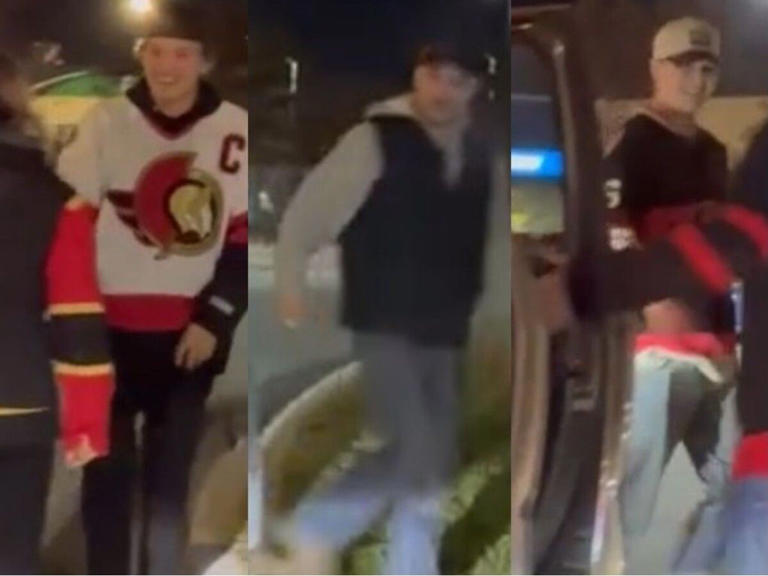 Ottawa police ask for public help in identifying assault suspects