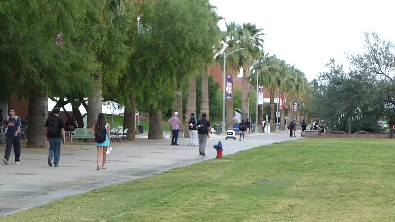 UAPD crime logs show multiple sexual assault complaints