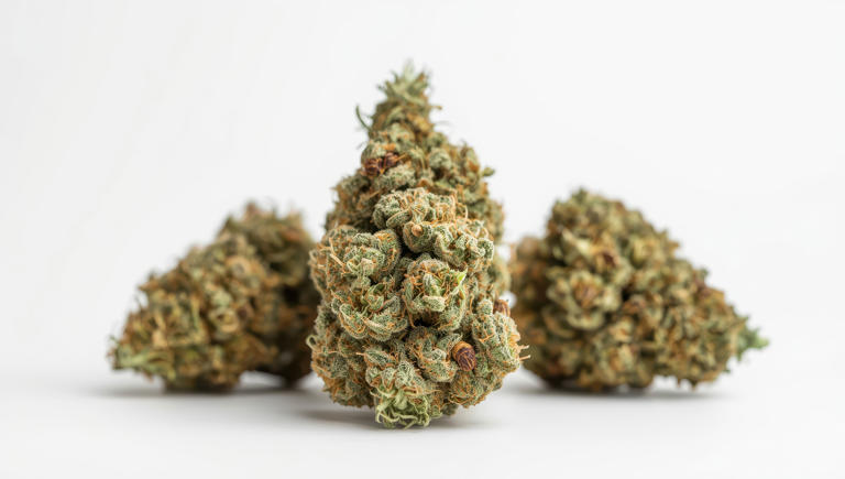 Is it time for London to legalise cannabis?