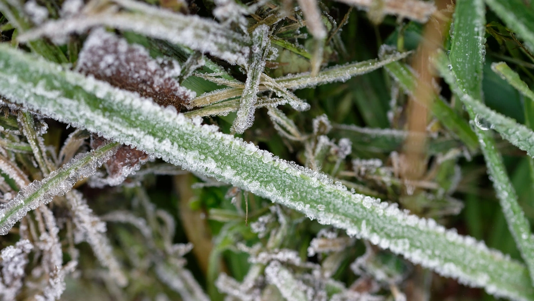 Preparing your lawn for winter