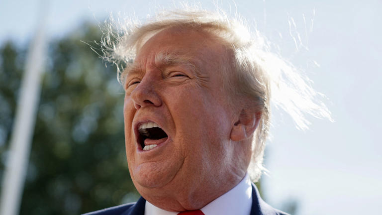 Trump displays wild hair after latest makeover