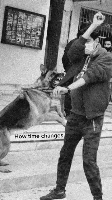 How a fierce dog became my closest companion