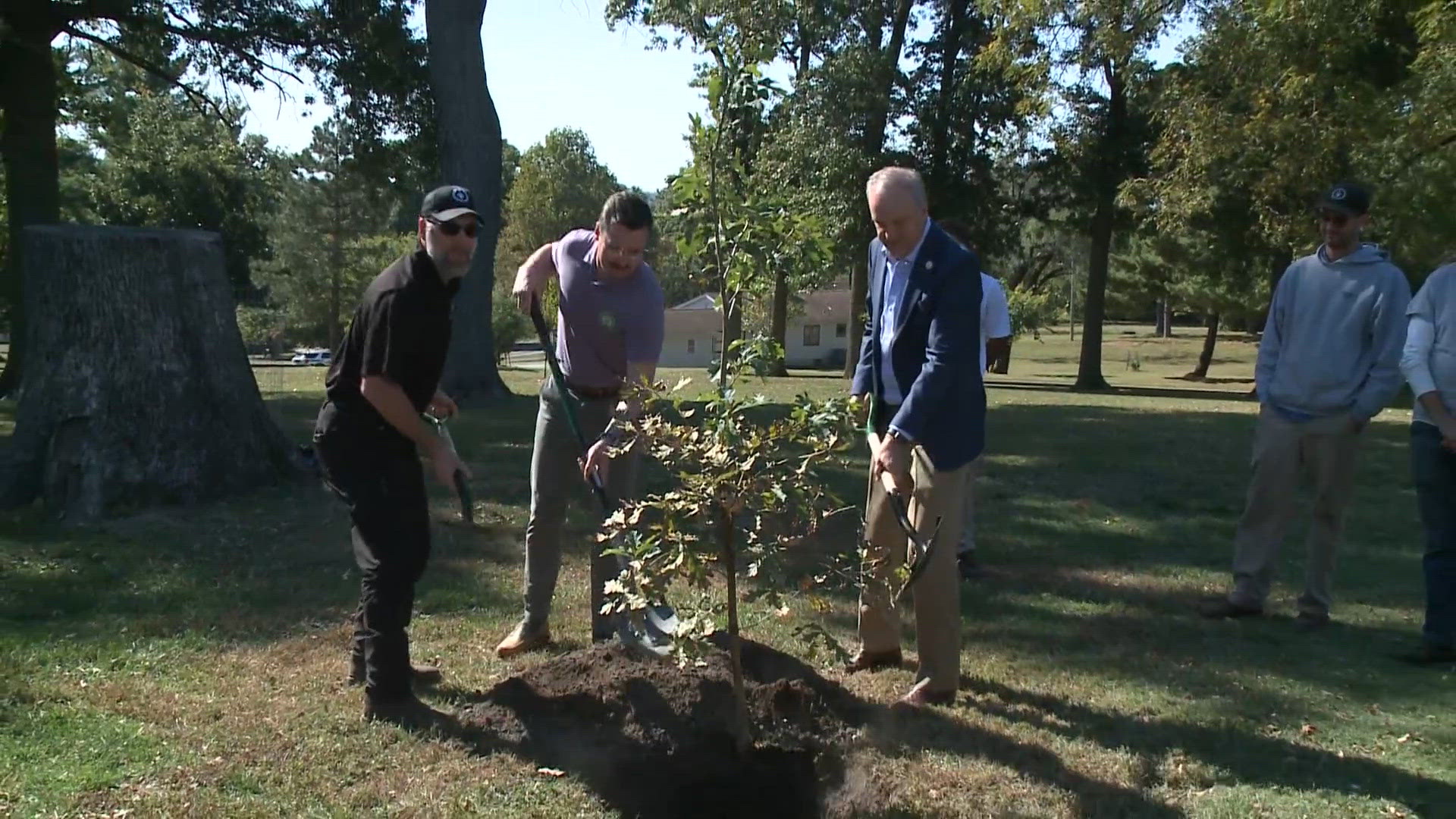 St. Louis County launches tree initiative