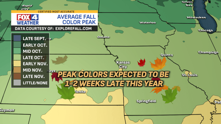 Leaf watch: Which trees are turning color around the metro