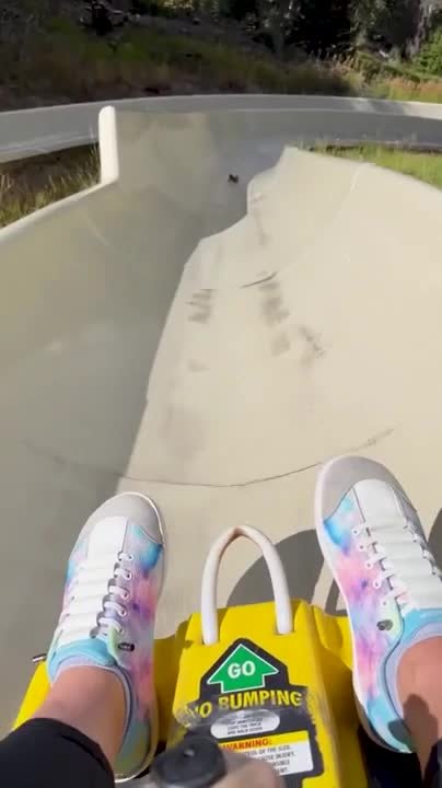 Chipmunk keeps stopping and running ahead of sliding cart