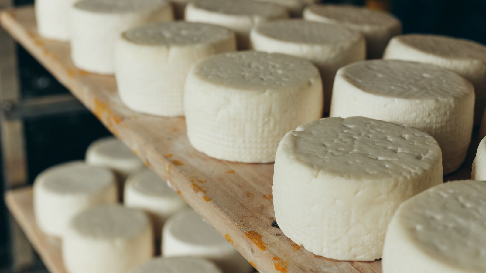 US cheese importer sues Trump over 50% Canada tariffs, citing $40 ...