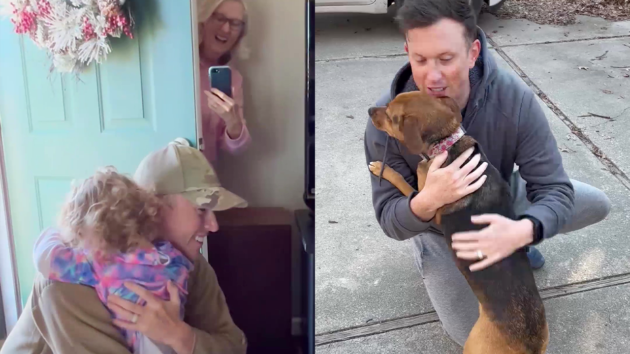 Technical sergeant's heartwarming reunion with his toddler, dogs, and ...