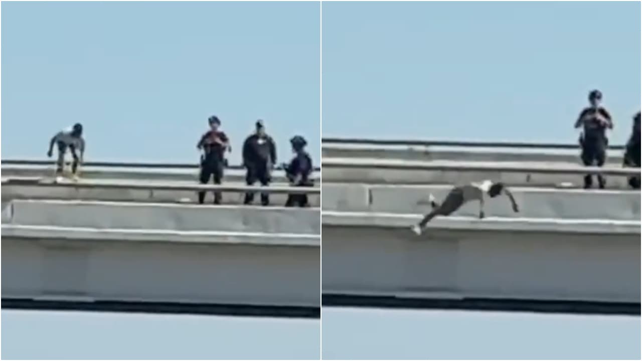 Tragedy in Dallas: Man dies after jumping from overpass following SWAT ...
