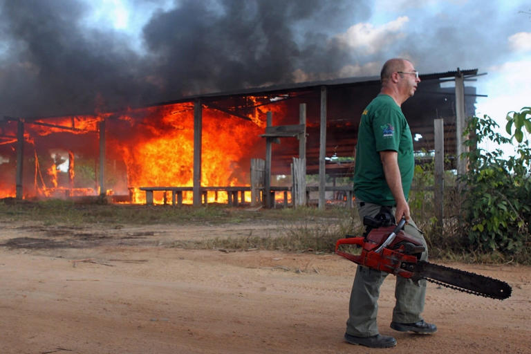 Environmental officials fear new wave of harassment if Flavio Bolsonaro ...