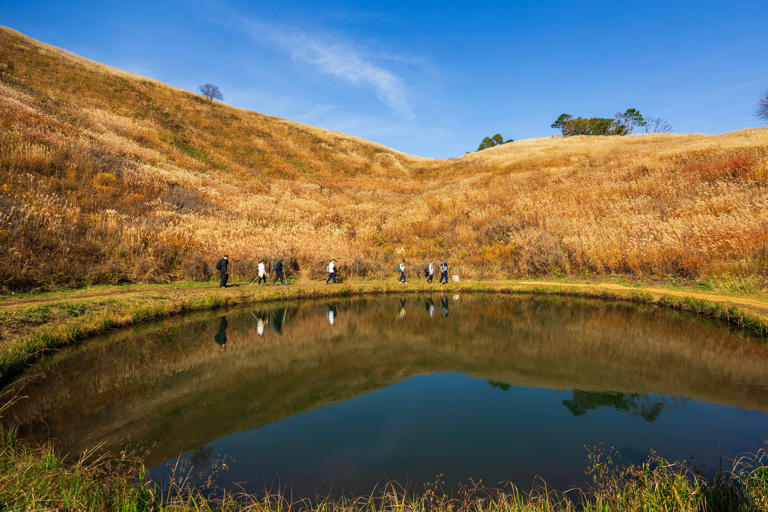 Jeongseon’s autumn: pampas, temples, and mining heritage