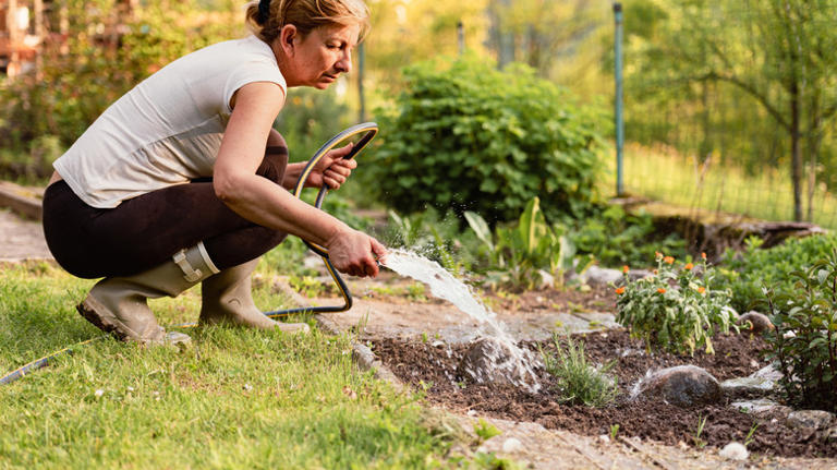 Goodbye traditional garden hoses: The Harbor Freight find that waters ...