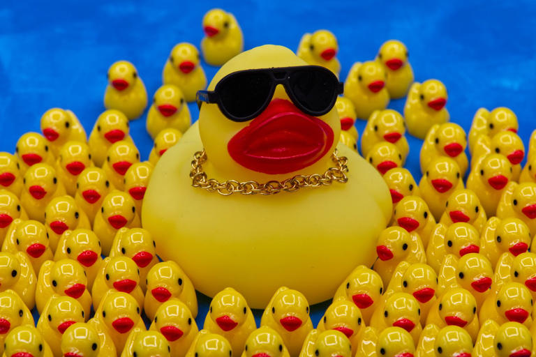 What are ya - yellow? The rubber duck carries filaments of American ...