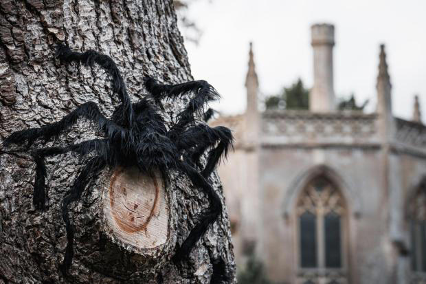 Parks unveil spooky half-term trails, pumpkin carving and monster hunts