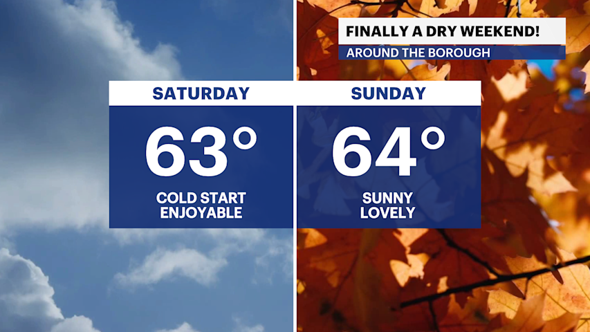 Perfect fall weather this weekend in Brooklyn