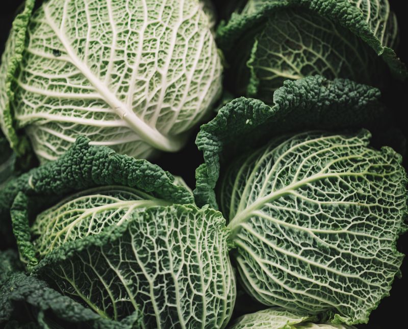 15 types of cabbage and greens and what each one is best at