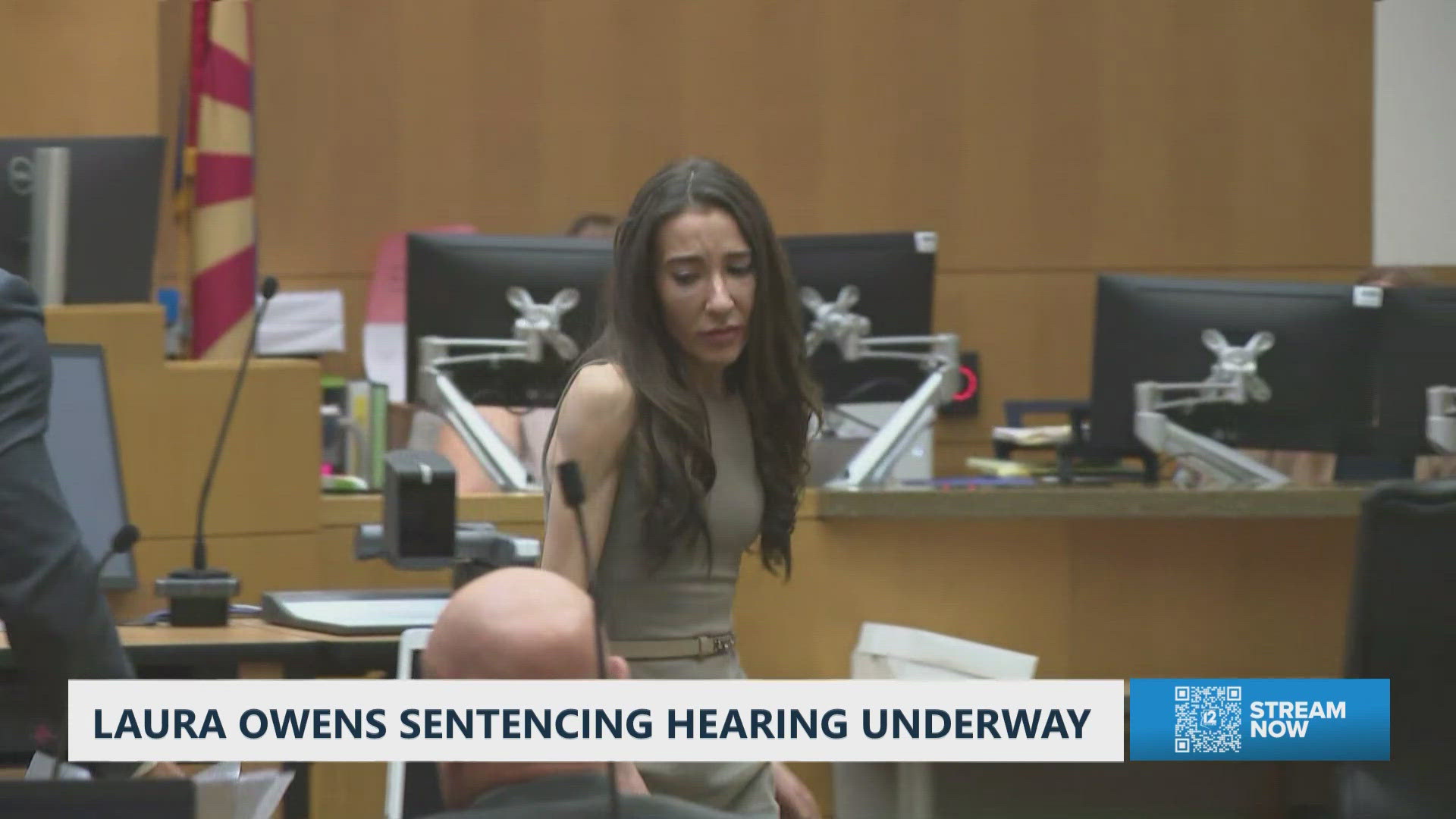 Shame that I couldn't bear: Laura Owens makes case to judge, tells of ...
