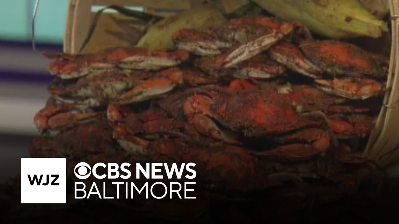 On the menu: Enjoy steamed crabs and more this month at Conrad's Crabs