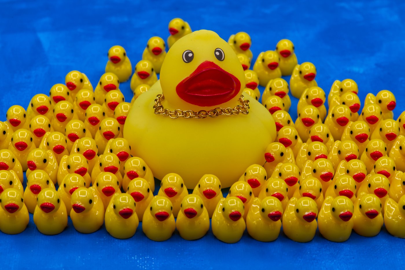 What are ya - yellow? The rubber duck carries filaments of American ...
