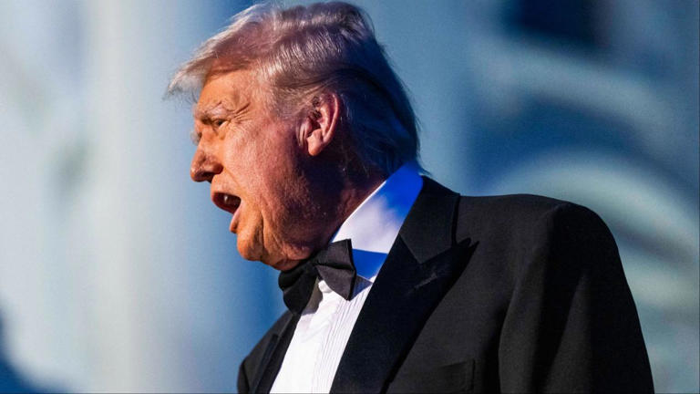Melania Trump says she 'successfully secured a ceasefire between Russia ...
