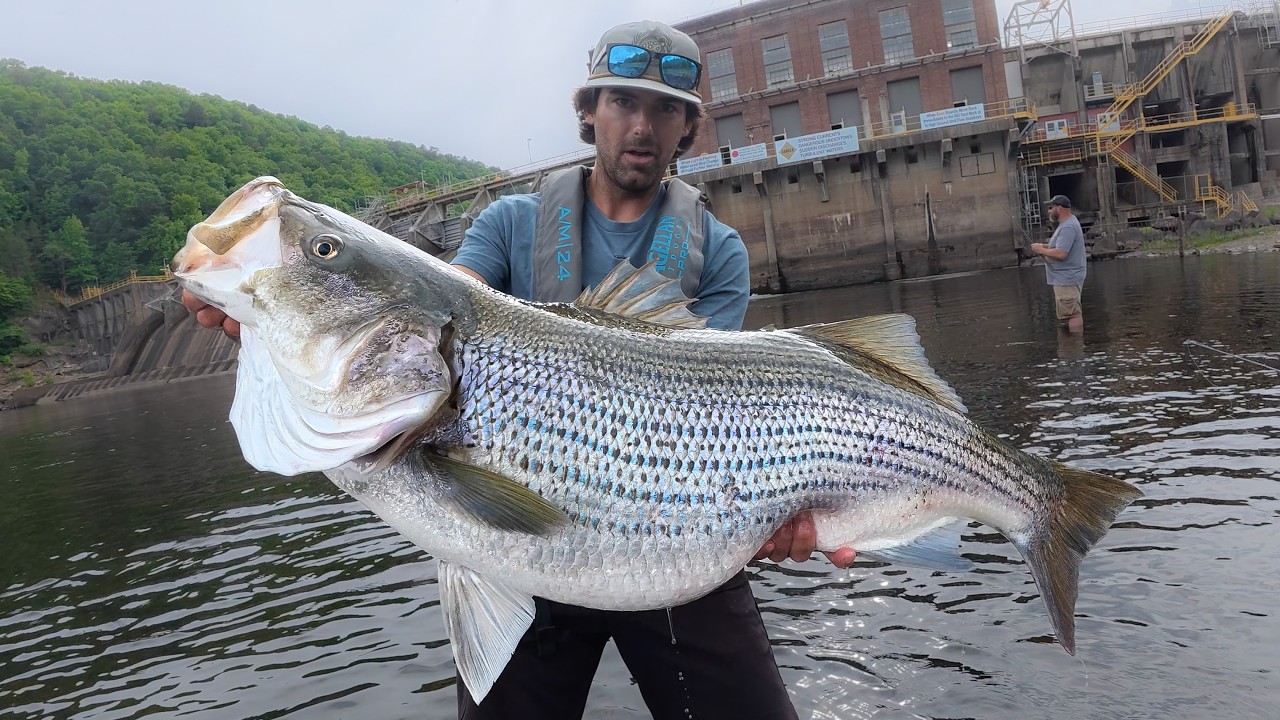 After 30 years I finally caught the monster fish of my dreams! (massive ...
