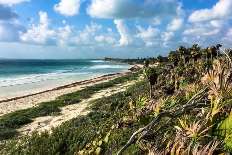 Critics call for halt to road construction in Mexico’s Sian Ka’an ...