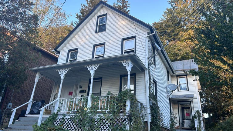 More than 100 cats removed from Catskill apartment, two arrested