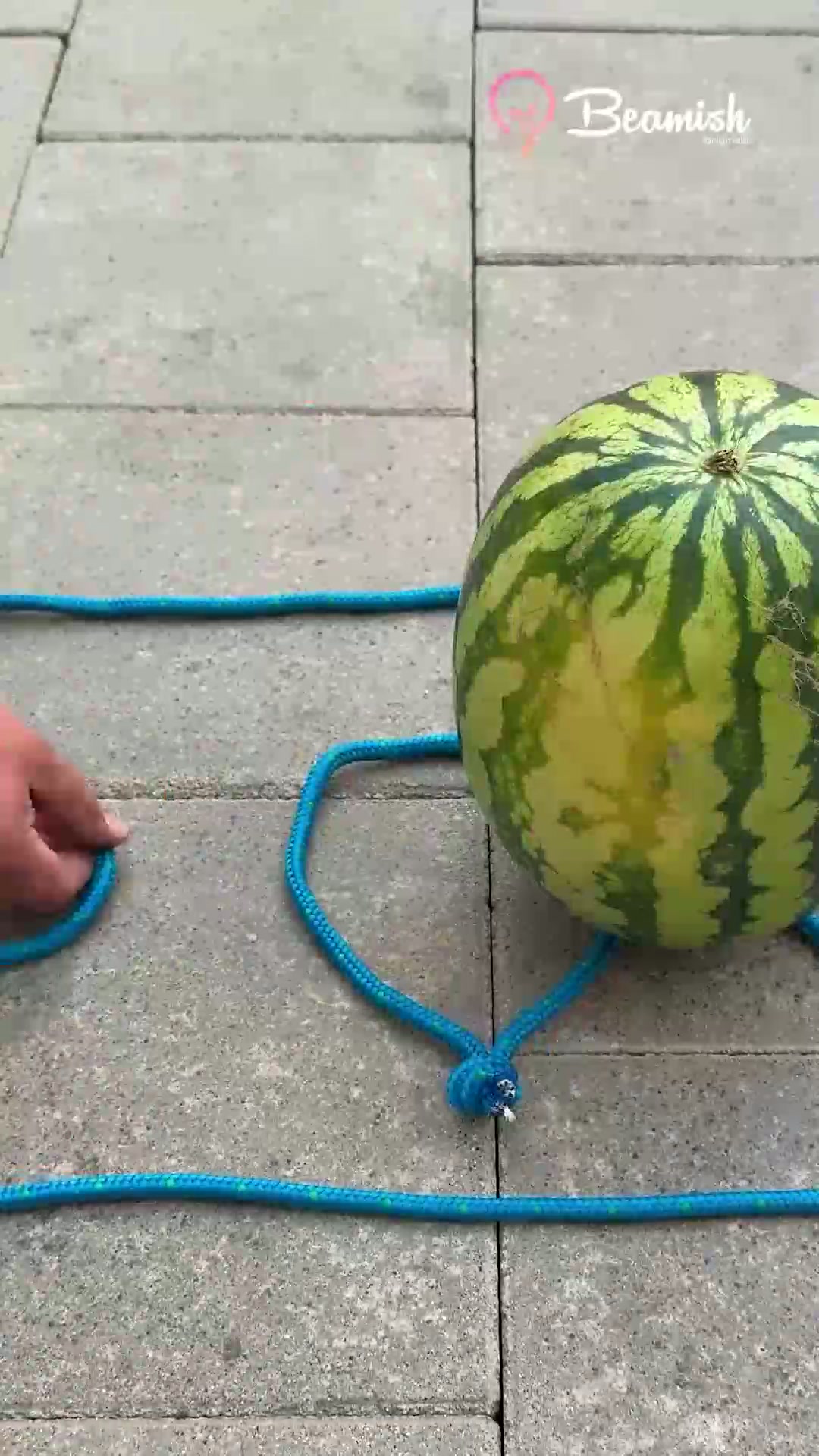 How to carry a watermelon with a rope #diy #watermelon #carrying #rope ...