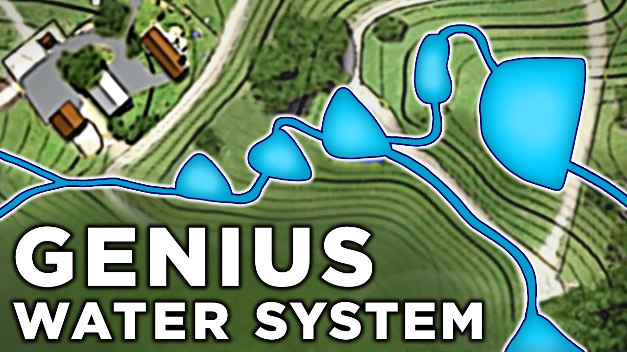 Next-level pond design!
