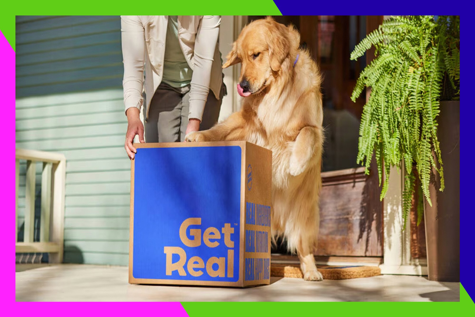 Get real — Chewy dog food that is, now with fresh food delivery