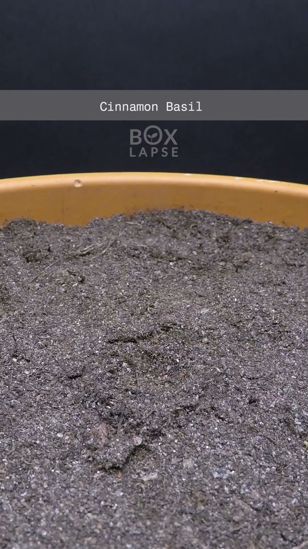 Watch these transformations