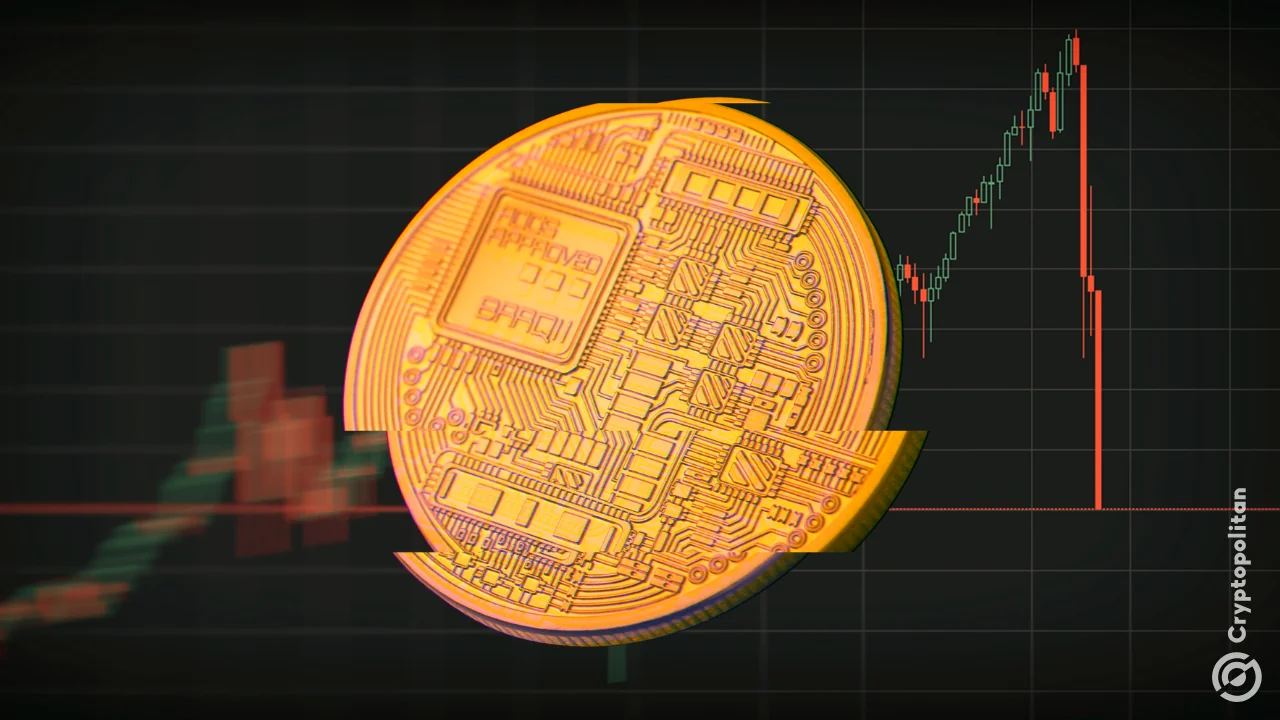 Project Kimchi token on Pump.fun crashes 98% after its promo post ...