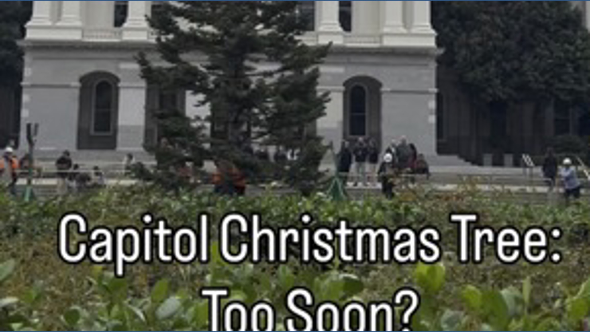 Capitol Christmas tree: Too soon?