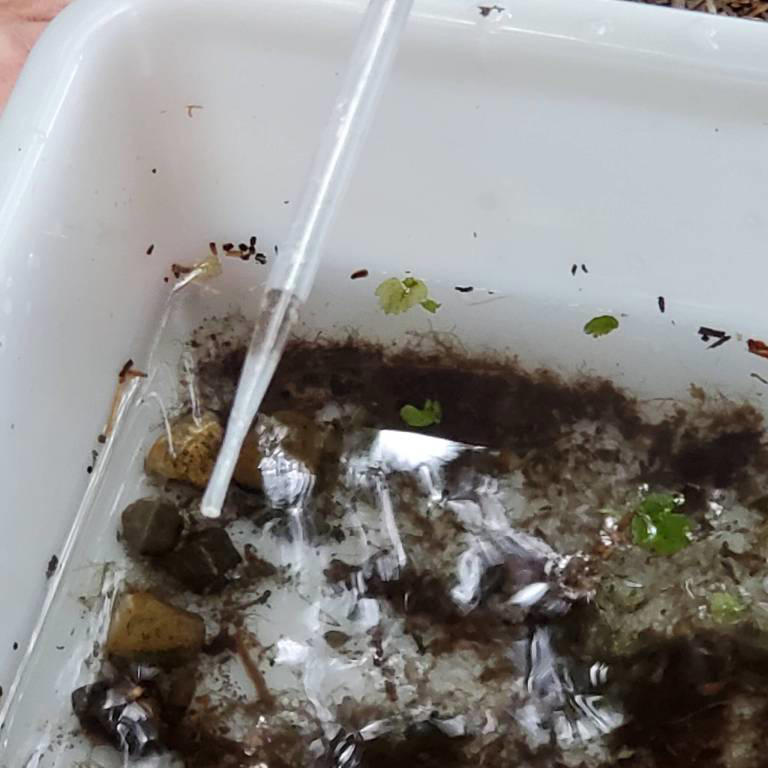 First years of macroinvertebrate sampling project a success