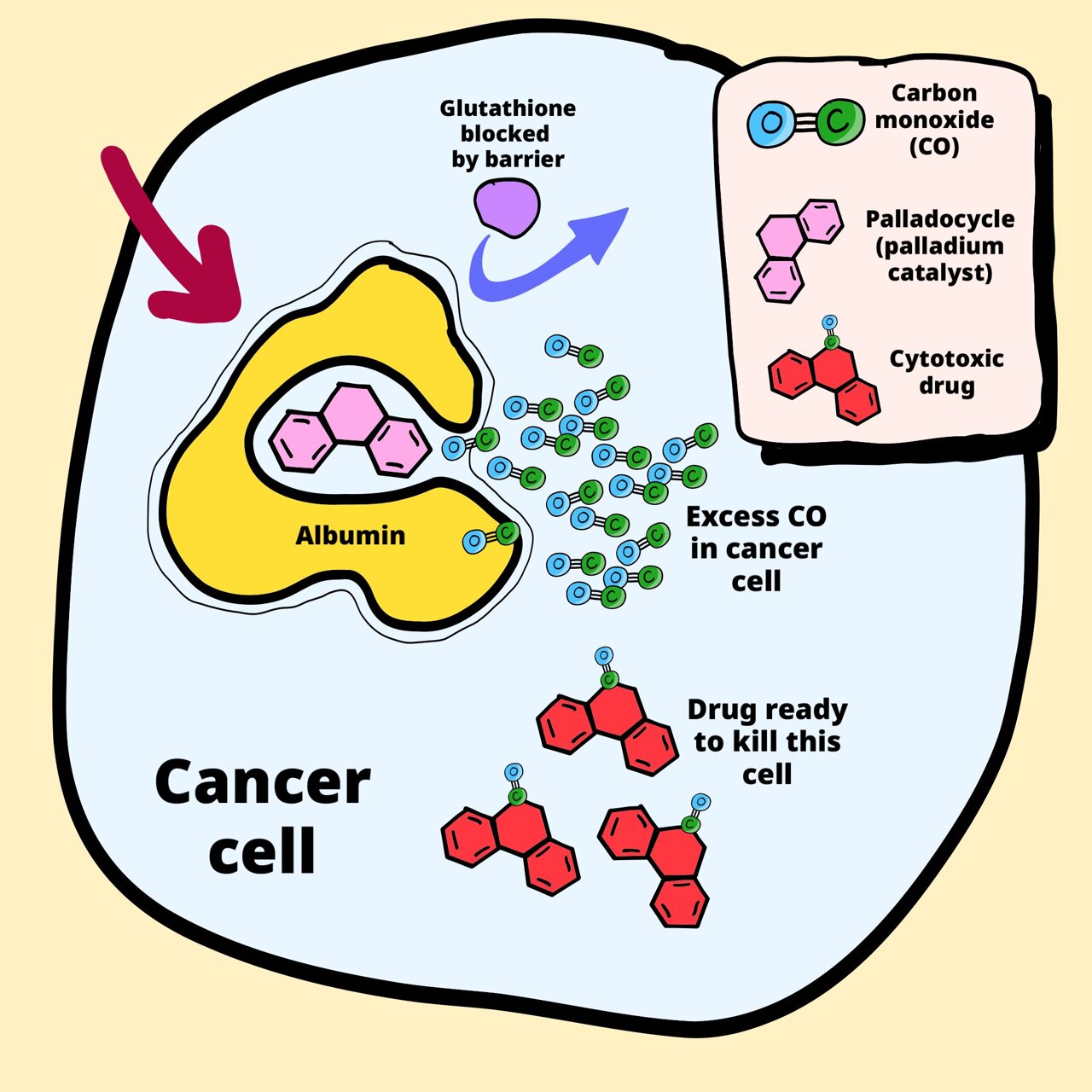 Cancer cells' own carbon monoxide fuels anticancer drug production in ...