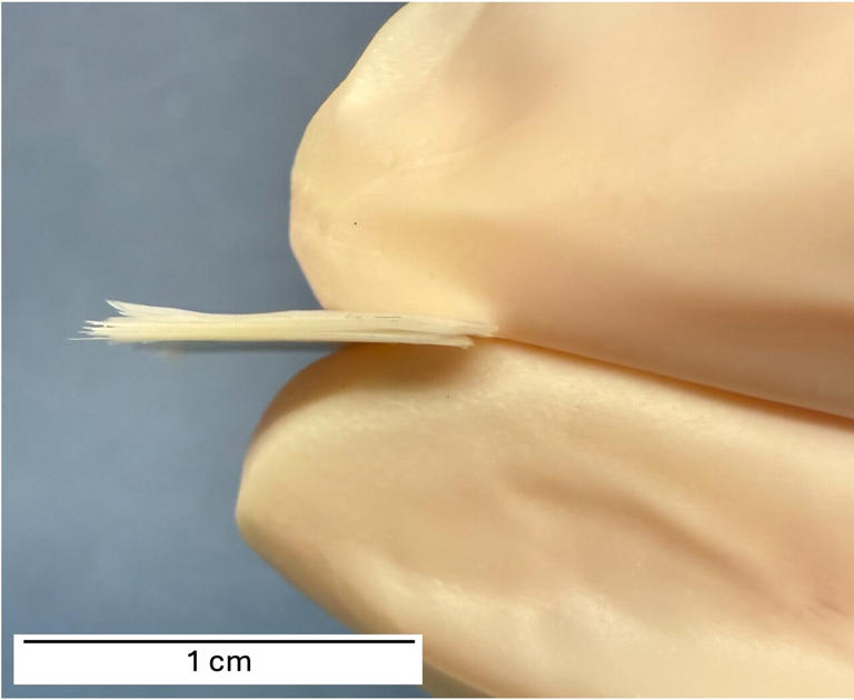 Everyday Mylar turned into a promising insulator for lunar habitats