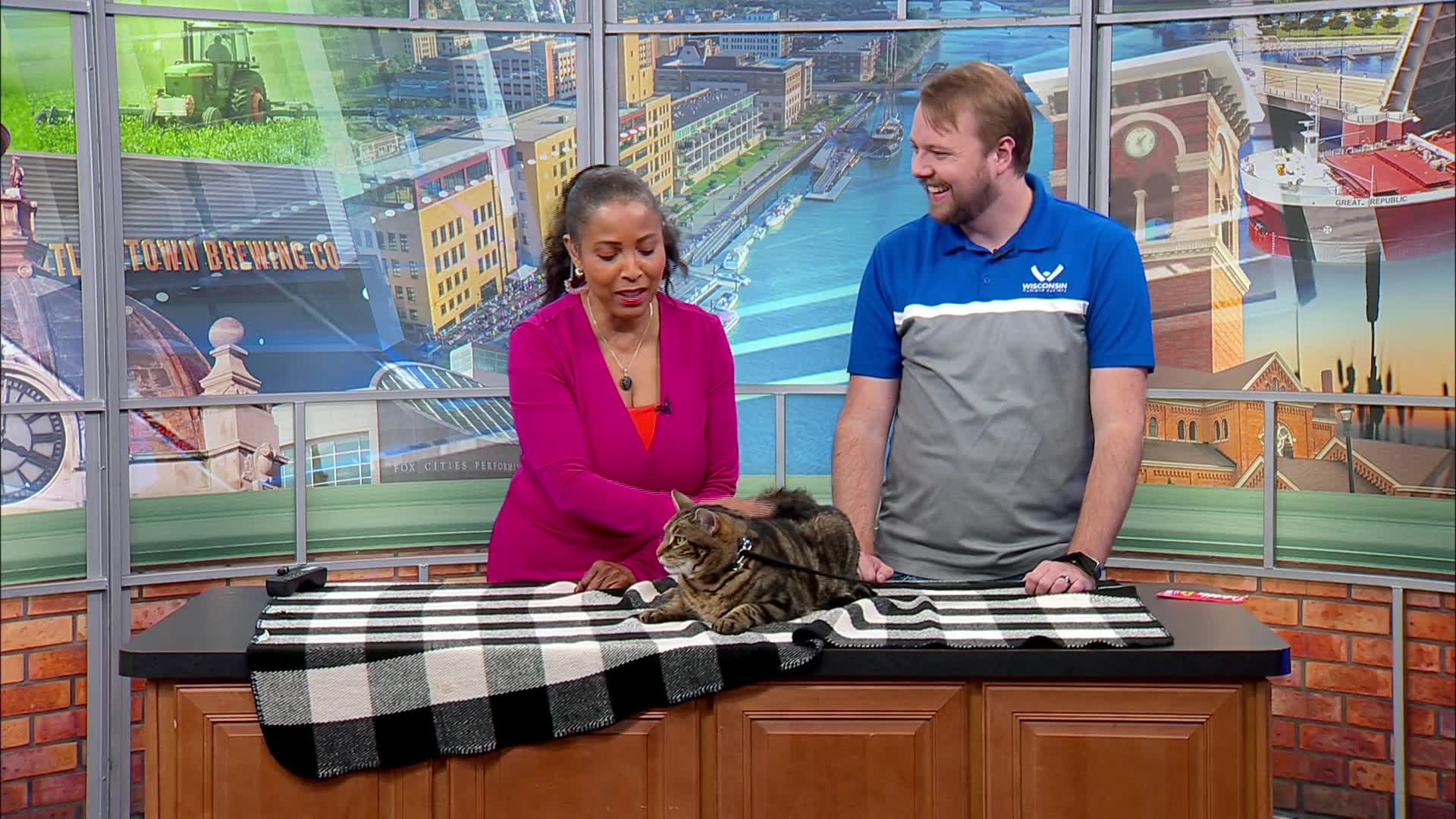 Pet saver: Wisdom