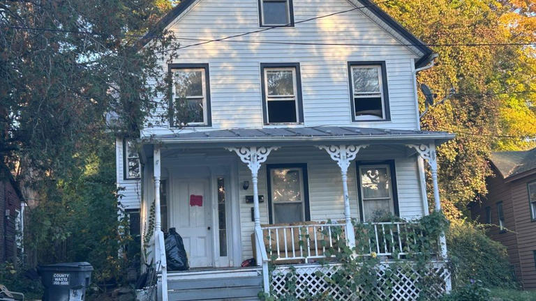 More than 100 cats removed from Catskill apartment, two arrested