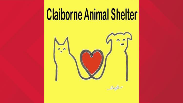 Claiborne County Animal Shelter not accepting cats or kittens until ...