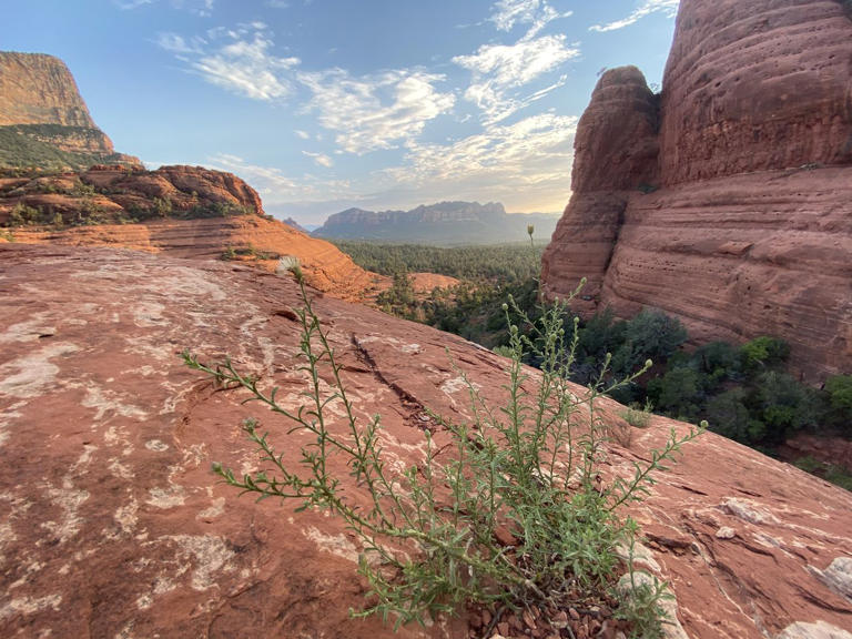 These 15 photos perfectly capture the beautiful red rocks of Sedona ...