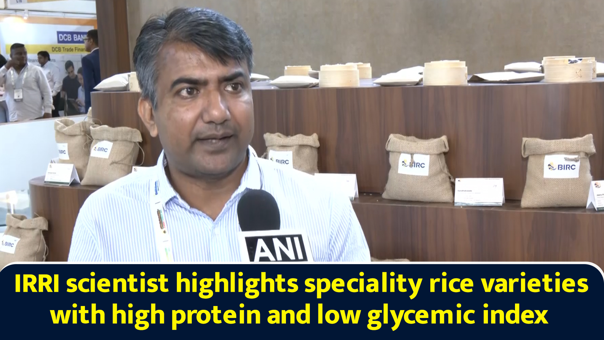 IRRI scientist highlights speciality rice varieties with high protein ...