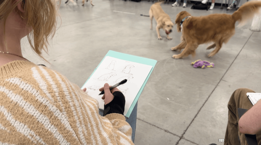 Art students practice sketching skills with NBC4’s Puppy on a Mission ...